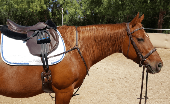 Screen Shot 2017-06-05 at 8.15.59 PM